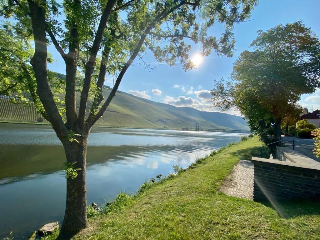 Ferienwohnung Mosel Verbandsgemeinde Verbandsgemeinde Bernkastel-Kues Buitenkant foto