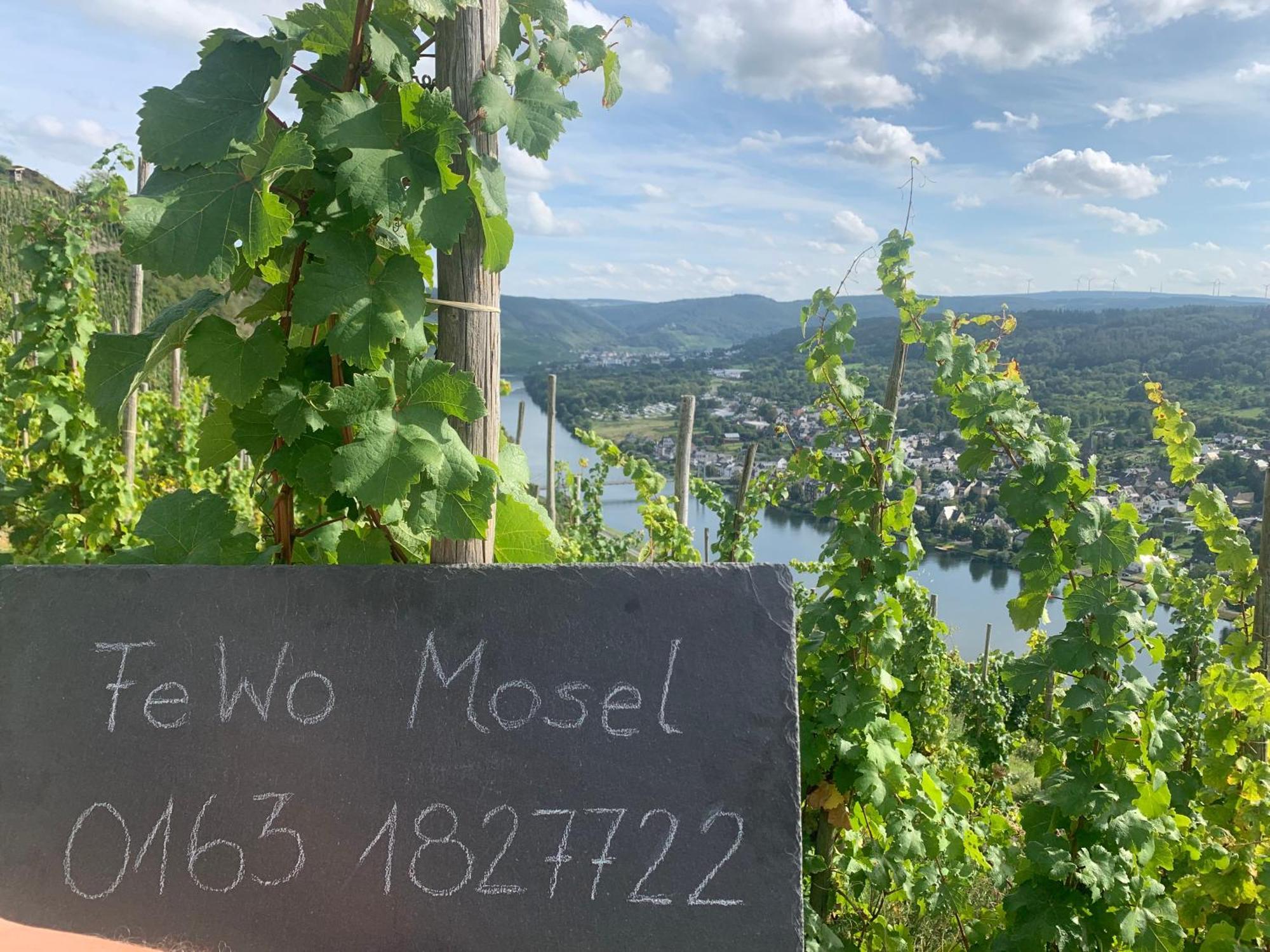 Ferienwohnung Mosel Verbandsgemeinde Verbandsgemeinde Bernkastel-Kues Buitenkant foto