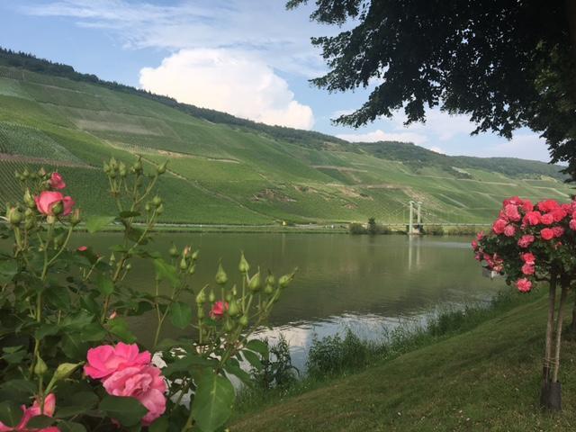 Ferienwohnung Mosel Verbandsgemeinde Verbandsgemeinde Bernkastel-Kues Buitenkant foto